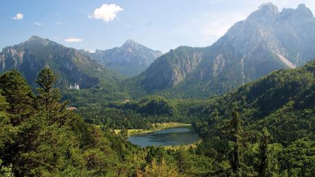 Schwansee wallpaper