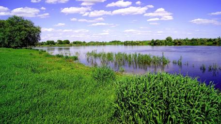 Serene Marshlands Under Blue Skies wallpaper