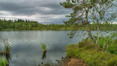 Tranquil River Beneath Cloudy Skies wallpaper