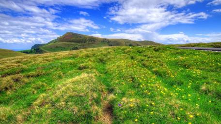 Vibrant Fields Under a Bright Sky wallpaper