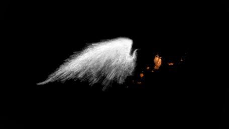 Ethereal Wings in Darkness wallpaper