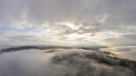 Misty Hills and Serene Landscapes in Foggy Light wallpaper