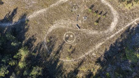Joyful Landscape with a Smiley Design in Earth wallpaper