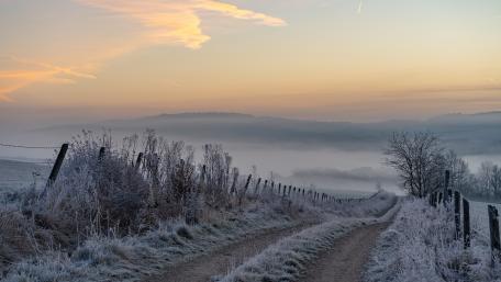 Morning frost wallpaper