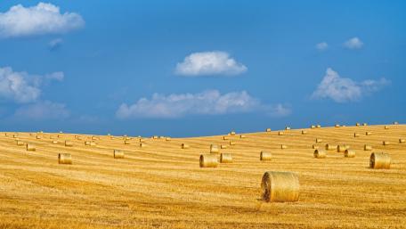 Haystacks wallpaper