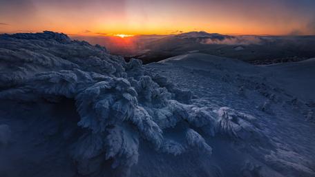 Winter Sunset in 4K wallpaper