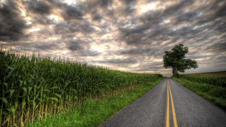 Straight Road Under Dramatic Sky wallpaper