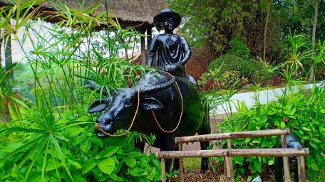 Carabao wallpaper