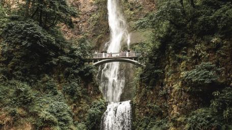 Benson Footbridge, Mt. Hood National Forest wallpaper