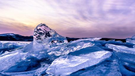 Frozen Serenity in Nature's Grasp wallpaper