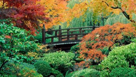 Portland Japanese Garden wallpaper