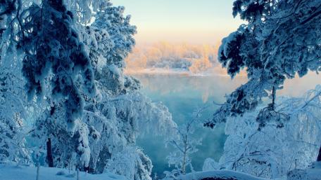 Winter Serenity in Frozen Beauty wallpaper