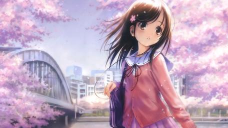 Springtime Stroll through Sakura Blossoms wallpaper