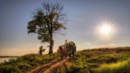 Ethereal Scene of a Horse-Drawn Carriage in Countryside wallpaper