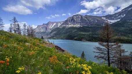St. Mary’s Lake at spring wallpaper