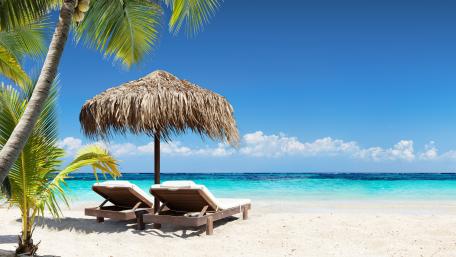 Tropical Serenity at the Beach wallpaper