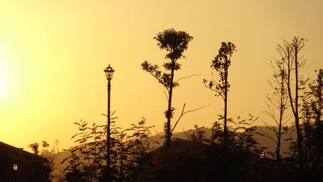 Golden Hour City Silhouette Scene wallpaper