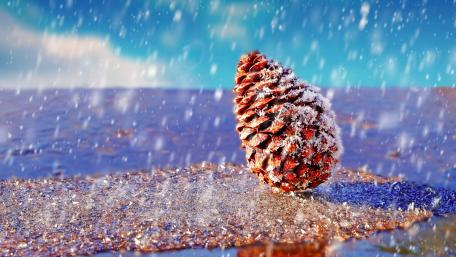Winter Serenity with Pine Cone Snowfall wallpaper