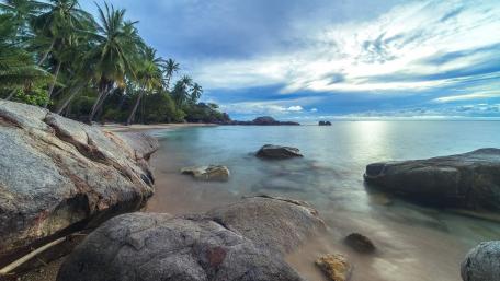Serene Coastal Escape Amidst Lush Palms and Tranquil Waters wallpaper