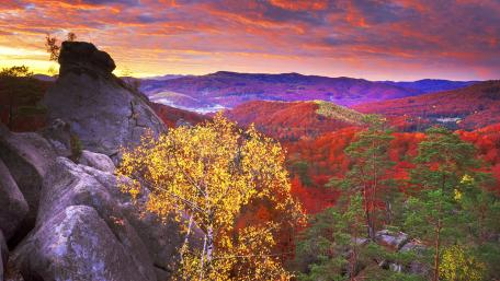Carpathians wallpaper