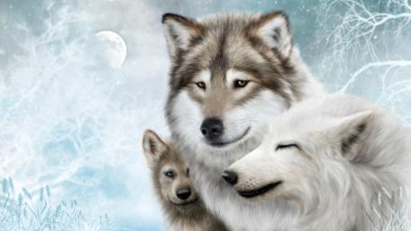 Majestic Wolf Pack in a Winter Wonderland wallpaper