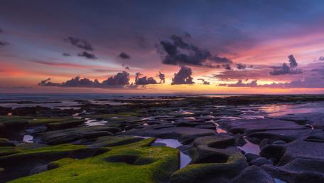 Algae covered stones wallpaper