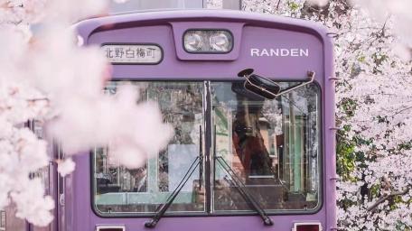 Japan Rail Pass wallpaper