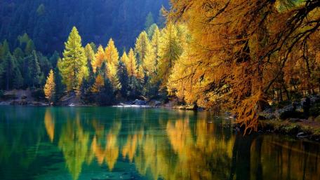 Golden Autumn Reflection at Serene Lake wallpaper