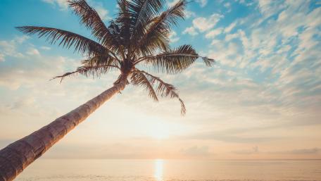 Ocean wallpaper