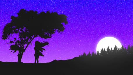 Silhouette Under a Starry Sky wallpaper