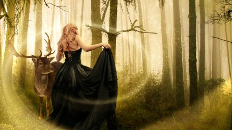 Enchanted Forest: A Dreamlike Encounter with Nature's Magic wallpaper