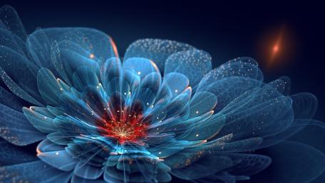 Glowing Petals of Imagination wallpaper