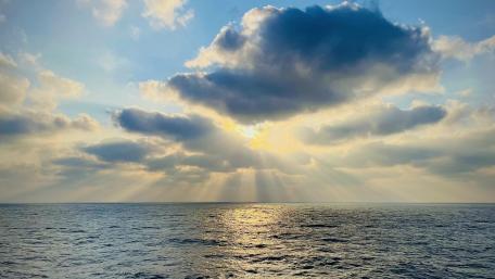 Brilliant Horizon Over Tranquil Seas wallpaper