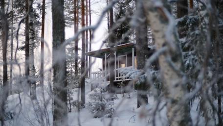 Winter Retreat in a Snowy Forest wallpaper