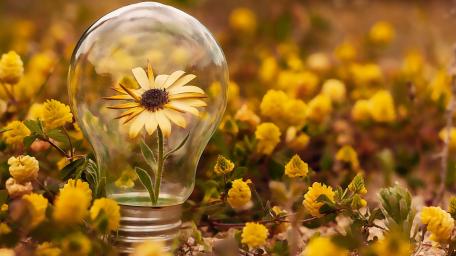 Take care of the planet, take care of nature wallpaper