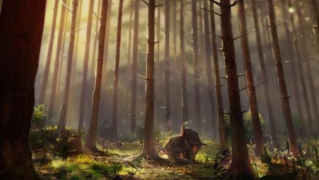 Little house in the forest wallpaper