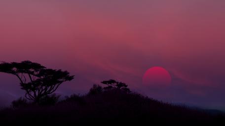 Sunset wallpaper