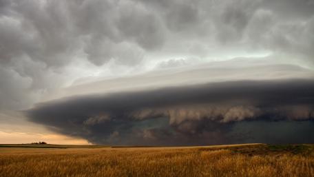 Dynamic Supercell Over Golden Grasslands wallpaper