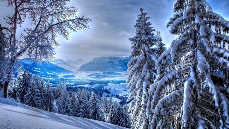 Majestic Winter Wonderland Scene wallpaper