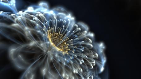 Glowing Petals of Imagination wallpaper