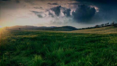 Serene Meadow at Dusk with Rainy Clouds wallpaper