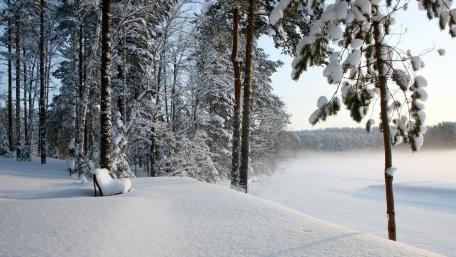 Serene Winter Wonderland Scene wallpaper