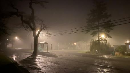 Foggy night wallpaper