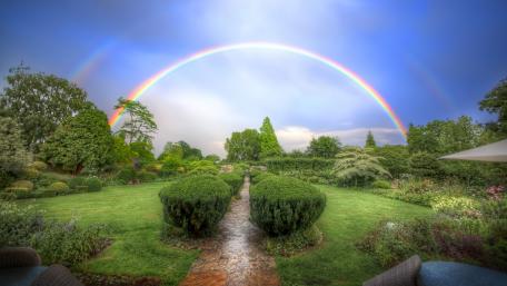 Vibrant Garden Rainbow Under Sunshine wallpaper