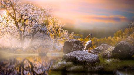 Graceful Bird Amidst Frosty Serenity wallpaper