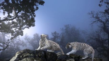 Majestic White Tigers in Enchanted Forest wallpaper