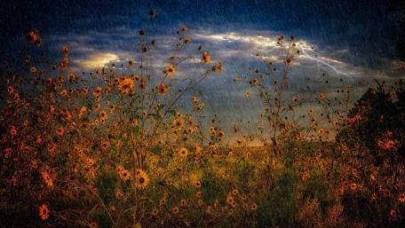 Nature's Fury and Beauty Combined wallpaper