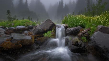 Misty Creek Waterfall in a Serene Forest Atmosphere wallpaper
