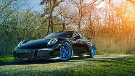 Sleek Porsche 911 in Nature's Embrace wallpaper