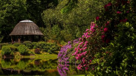 Tranquil Gazebo by Serene Pond wallpaper